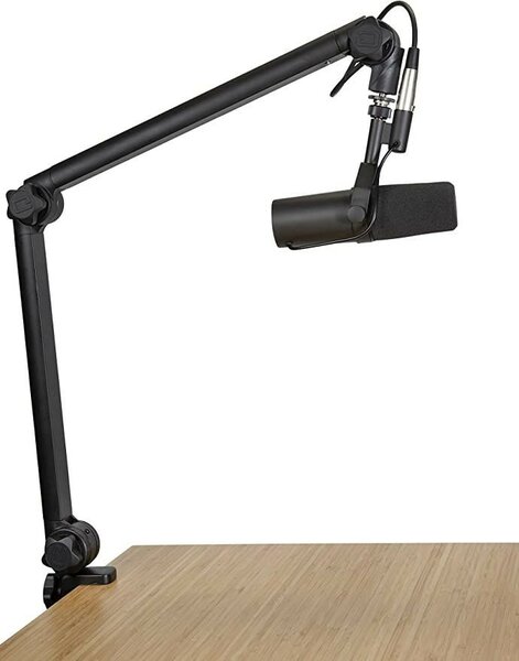 Microphone