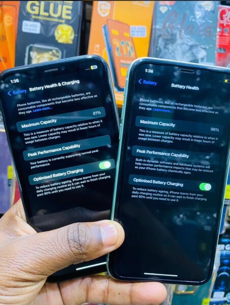 iPhone XR and 11