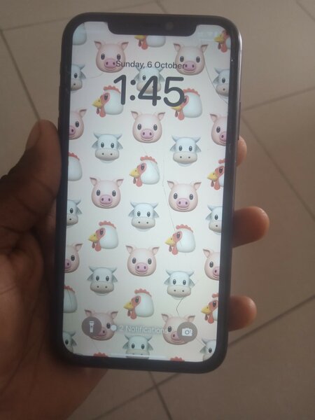 iPhone 11 simple