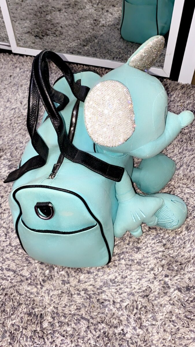 Traveling bag