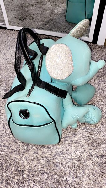 Traveling bag