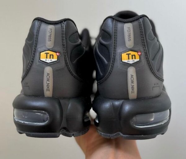 Basket tn