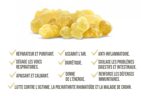 Encens oliban pur