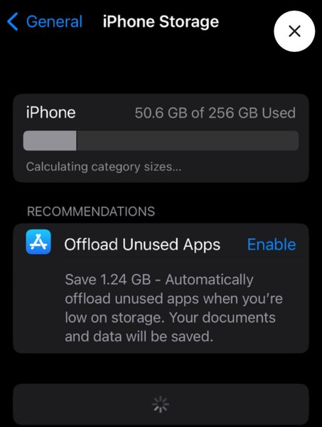 iPhone X