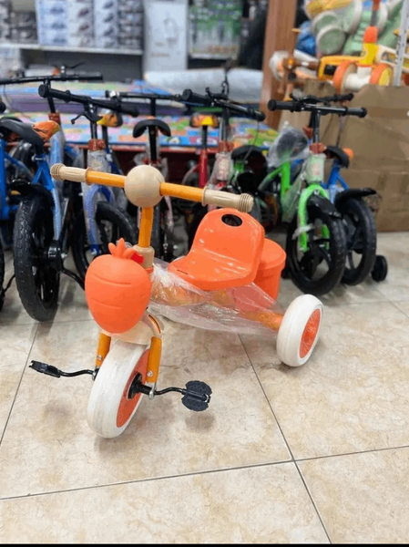 Tricycle Enfant Éducatif