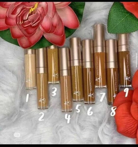 Pro concealer
