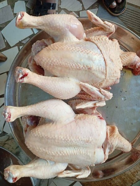 Poulet bio