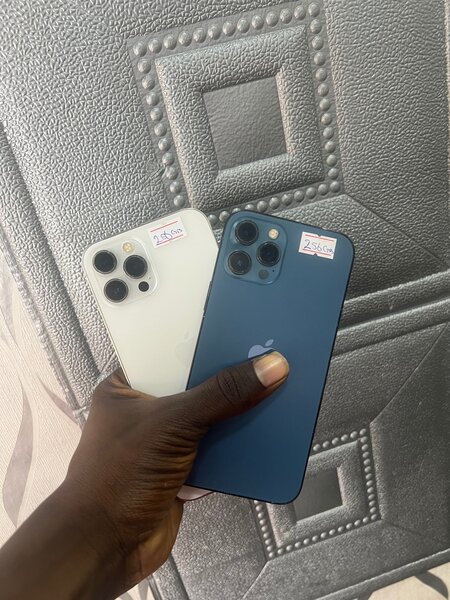 iPhone 12 pro max