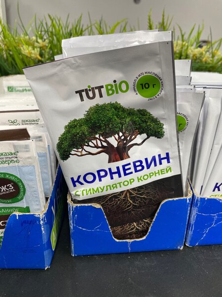 Корневин