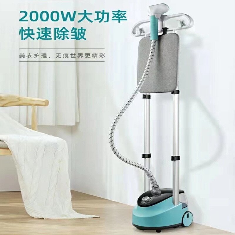 Steamer iron