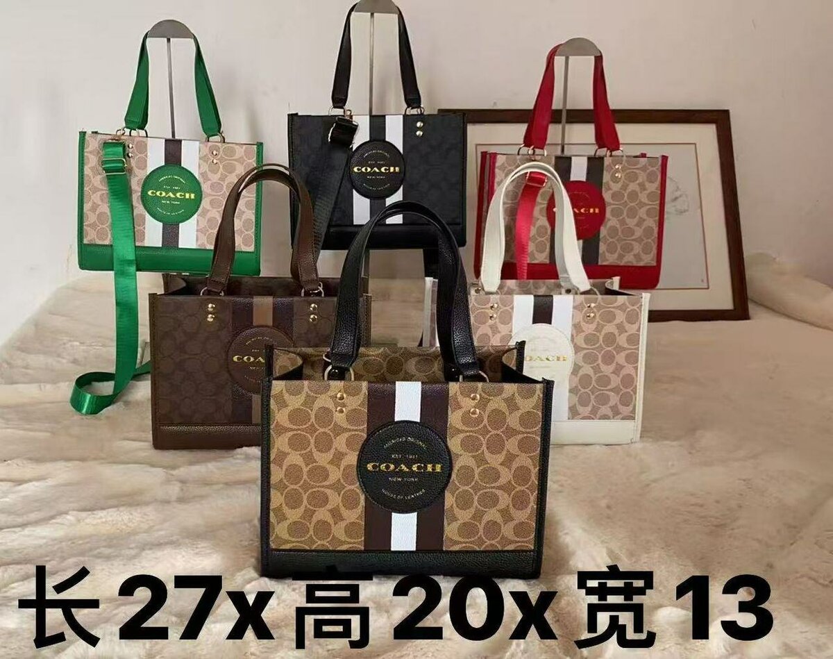 Sac à main tendance Coach
