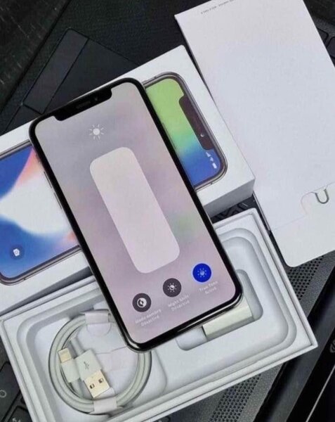 iPhone X