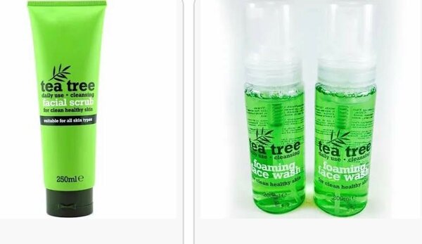Tea tree
