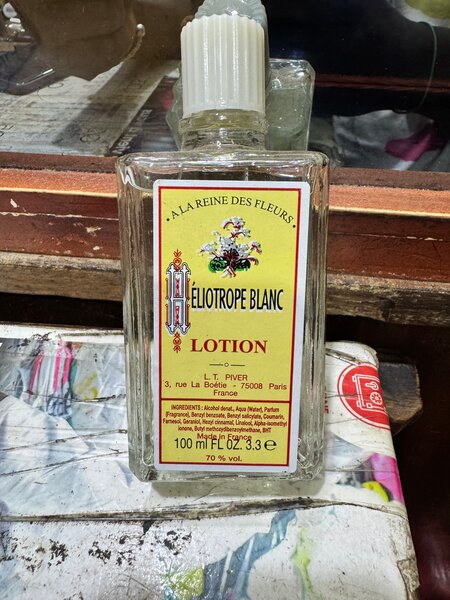 Eliotrope blanc