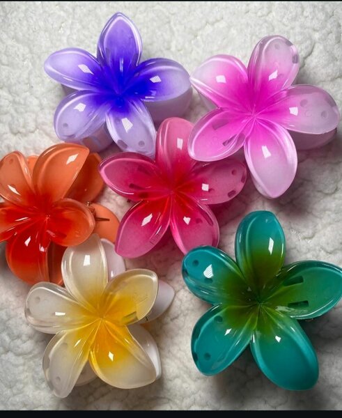 Barrette hawaïenne