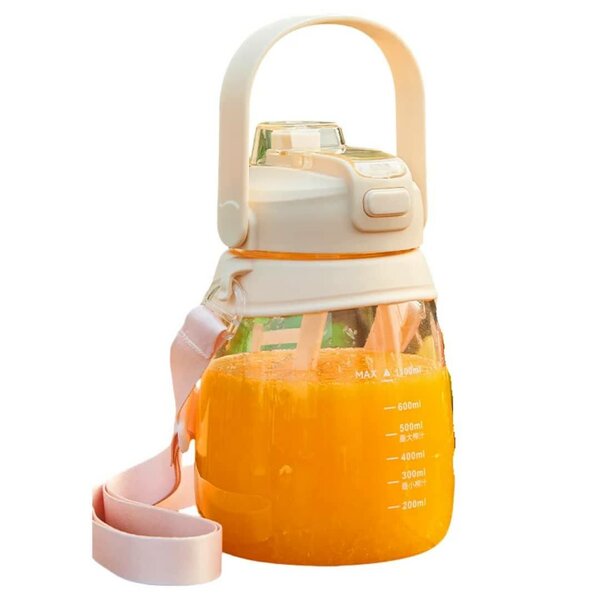 Gourde à Jus Portable 700ml