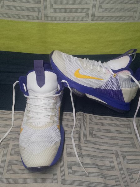 LeBron witness IV