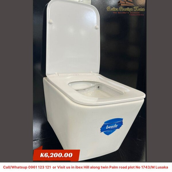 Wall hang toilet