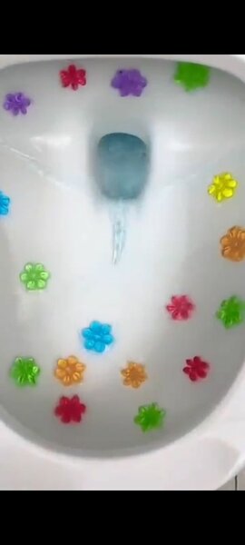Toilet fragrance