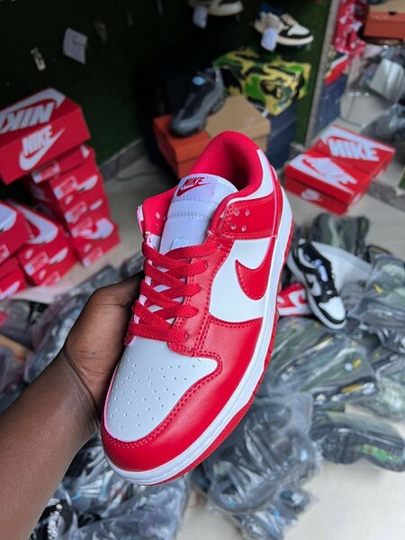 Nike sb dunks
