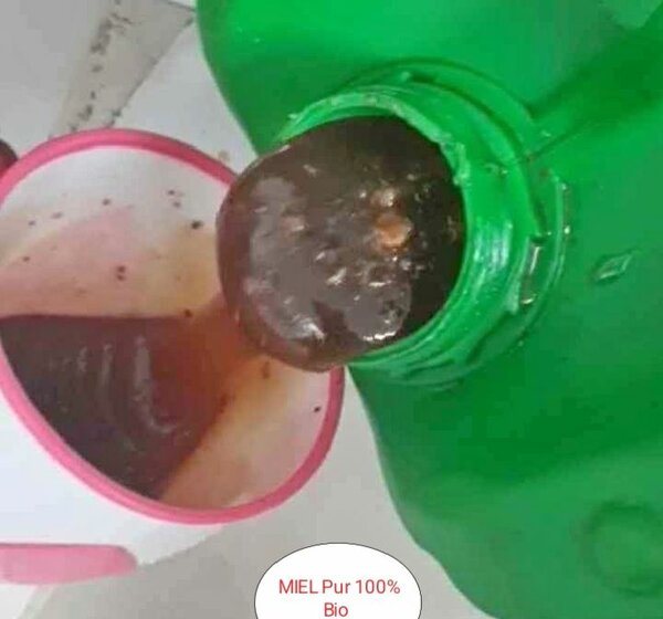 Miel Pur 1L