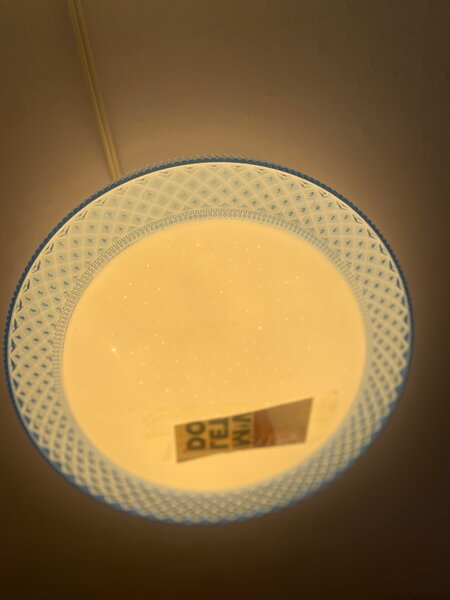 Ceiling light