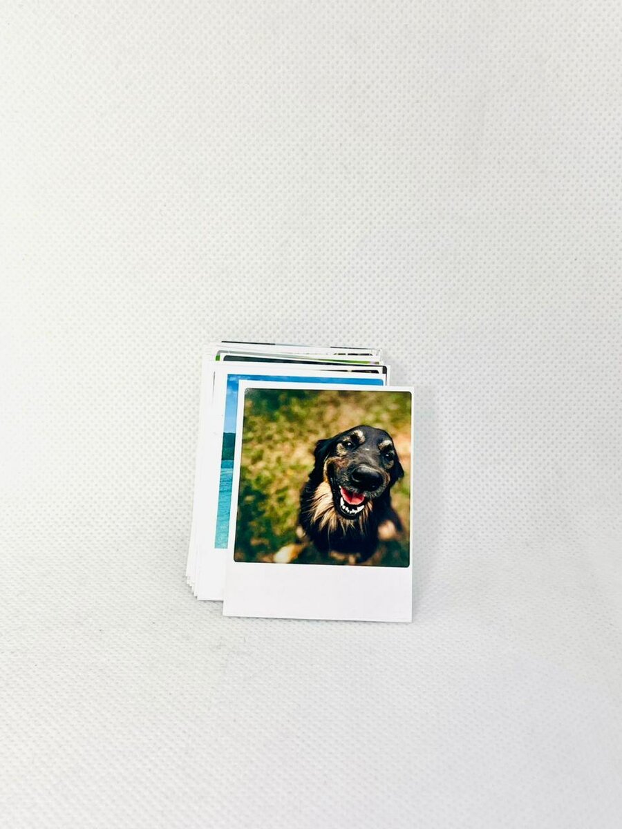 12 Photos Instantanées