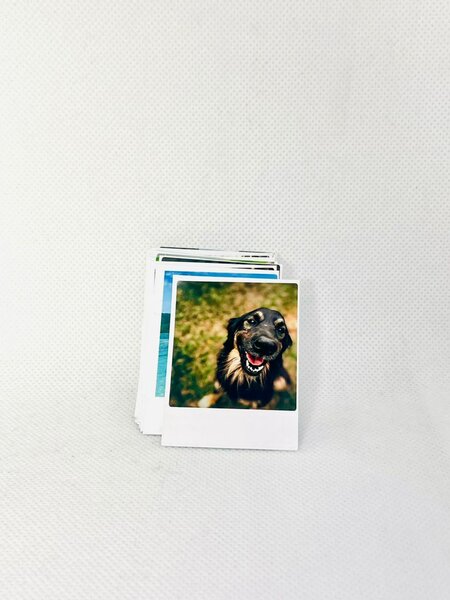 12 Photos Instantanées