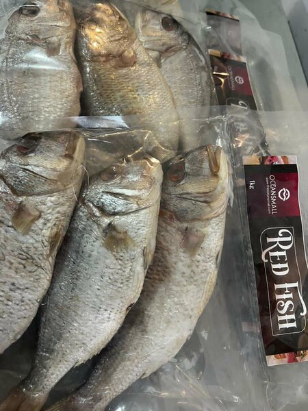 Red fish