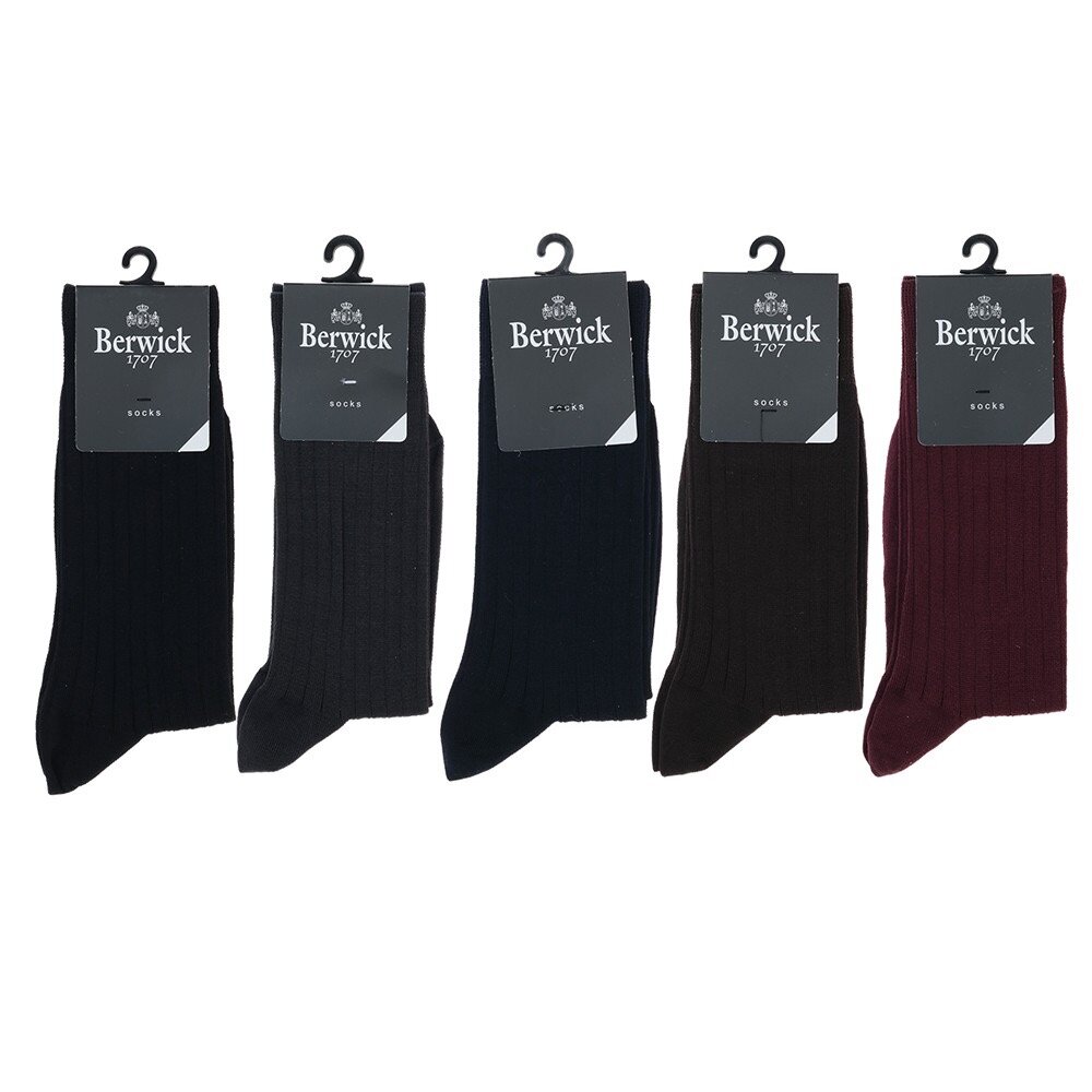 Chaussettes BERWICK 1707