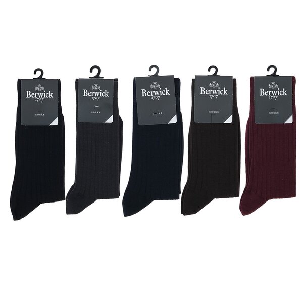 Chaussettes BERWICK 1707
