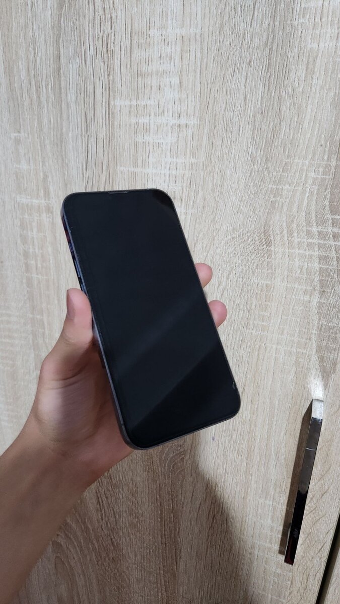 iPhone 13Pro