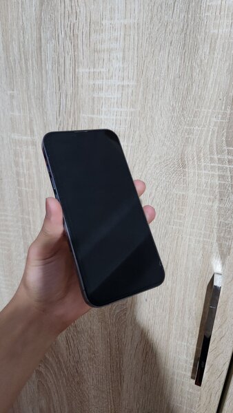 iPhone 13Pro