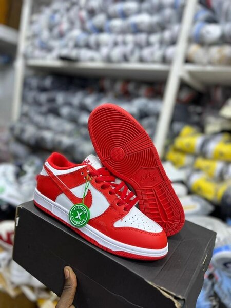 NIKE AIRFORCE DUNK LOW COLOR ON COLOR