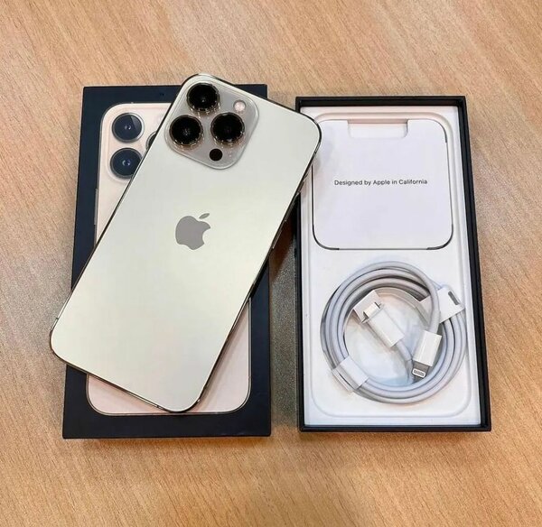 iPhone 13 Pro Max