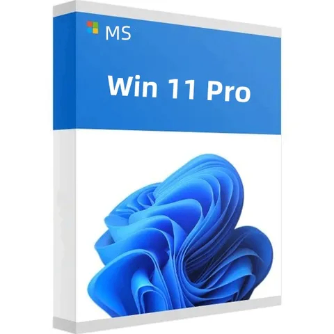 Windows 10/11 pro
