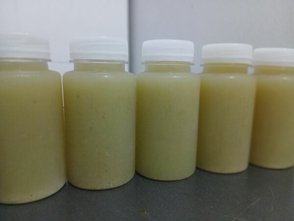 60ml Wellness shots