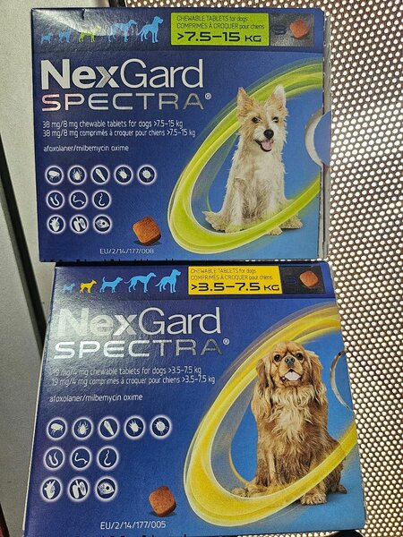 Nexgard spectra