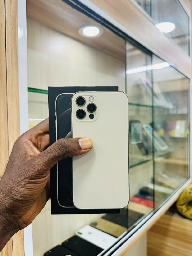 iPhone 12 Pro, 128 giga tout est d’origine 