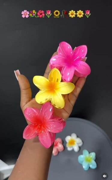 Hair Clip