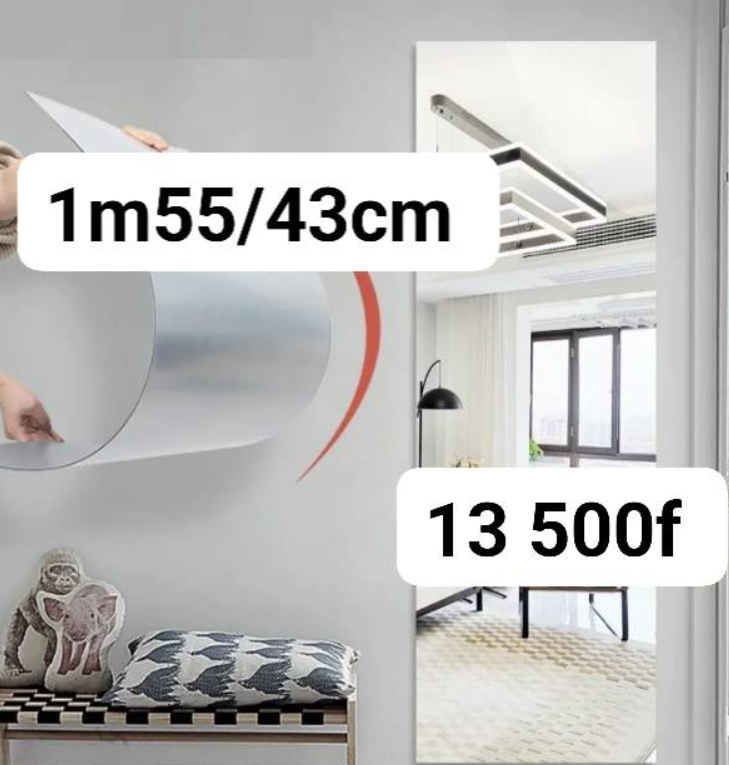Beau miroir élégant pour votre maison 1m55/43cm