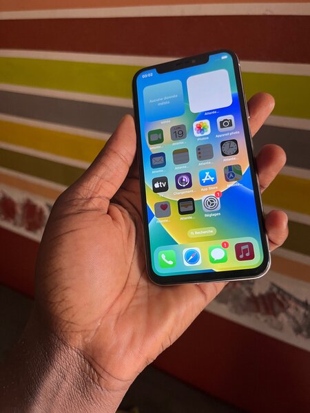 iPhone X