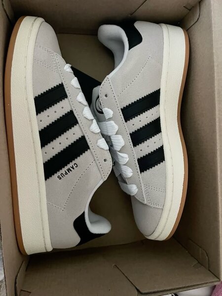 Adidas campus authentique