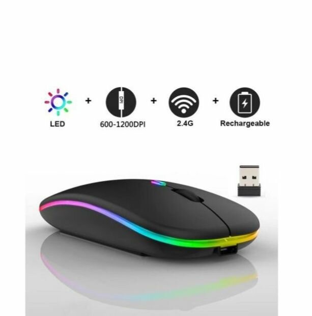 Souris