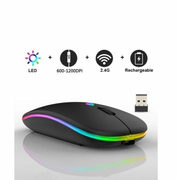 Souris
