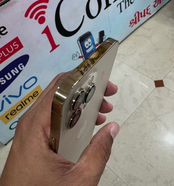 13 pro max 256gig