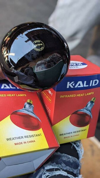 Infrared bulbs