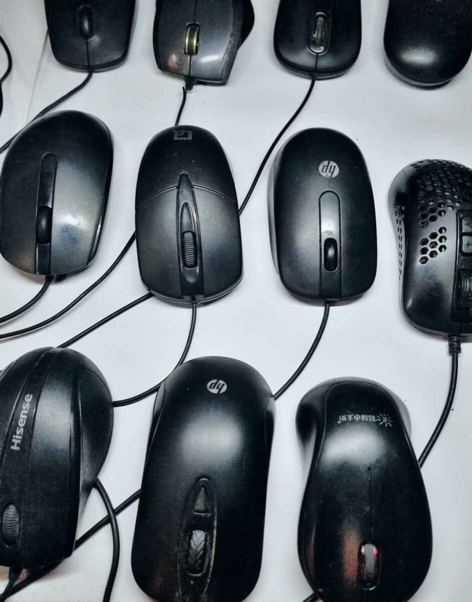Mice