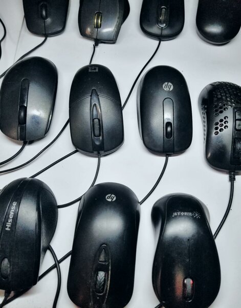 Mice