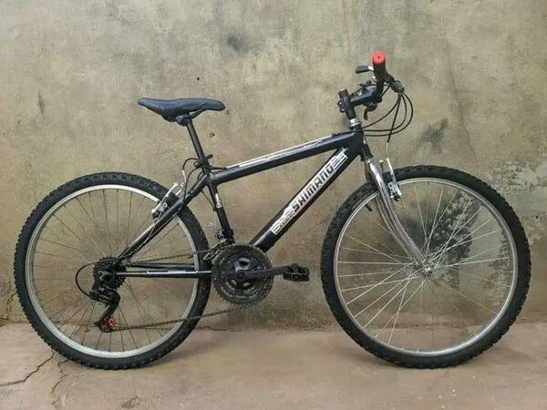 Vélo tout-terrain Shimano robuste